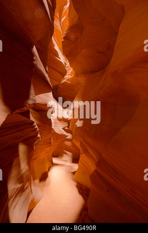 Stati Uniti d'America, Arizona, Pagina, Antelope Canyon (superiore) Foto Stock