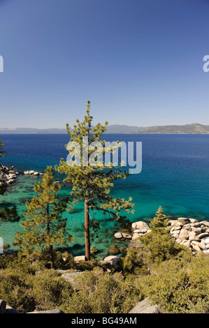 Stati Uniti, California/Nevada, Lake Tahoe Foto Stock