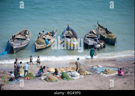 Tutti si unisce come la mattina di cattura del pesce viene scaricato, Dhanushkodi, Tamil Nadu, India, Asia Foto Stock