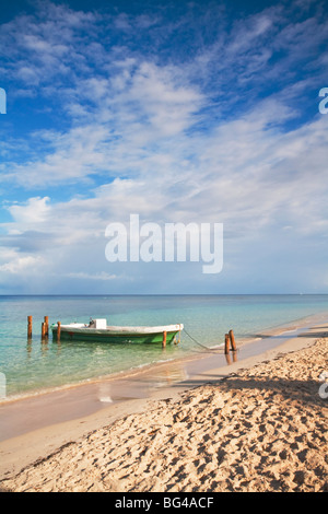 Honduras, isole di Bay, Roatan, West Bay Foto Stock