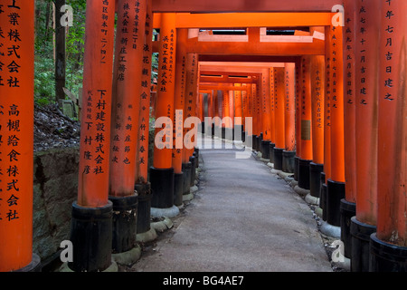 Giappone, isola di Honshu, Kyoto Fushimi Inari Shrine (Fushimi Inari Taisha), Cancelli Rossi (Tori) al tempio principale Foto Stock