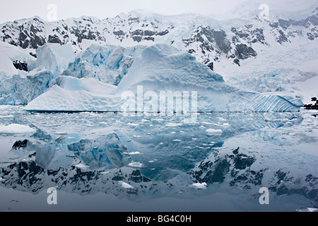 Iceberg con riflessioni di Paradise Bay, l'Antartide. Foto Stock