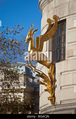 London ; Trafalgar Square ; Springbok emblema in Sud Africa House ; Novembre 2OO9 Foto Stock