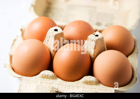 Sei organici di uova di galline in una scatola per uova Foto Stock