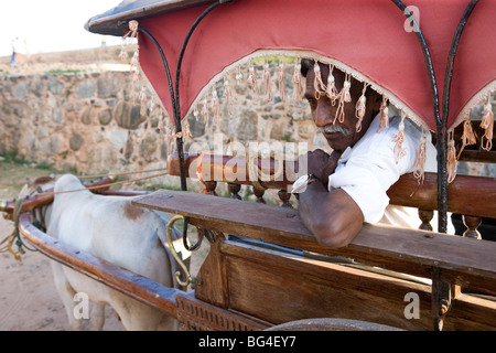 Ox e carrello, Galle, Sri Lanka Foto Stock