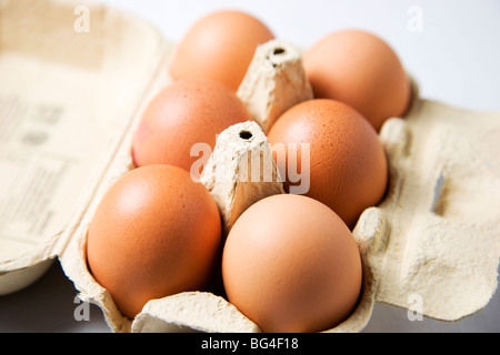 Sei organici di uova di galline in una scatola per uova Foto Stock