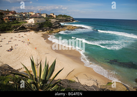 Spiaggia di Tamarama, tra Bondi e Bronte nei sobborghi orientali, Tamarama, Sydney, Nuovo Galles del Sud, Australia Foto Stock