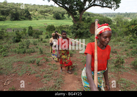 Durante la guerra in Burundi circa mezzo milione di persone sono fuggite in Tanzania.Ora ritornano es a ricostruire le loro case Foto Stock