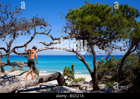 Francia, Haute Corse il Deserto degli Agriates, la spiaggia di Saleccia Foto Stock