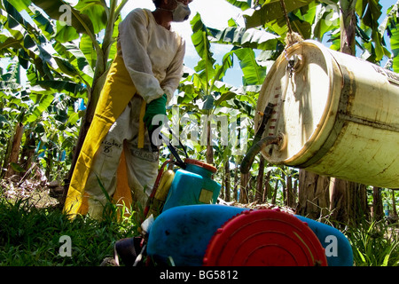 Una costa rican lavoratore il riempimento di una pompa irroratrice con prodotti chimici usati per la manutenzione sulla piantagione di banane in Costa Rica. Foto Stock