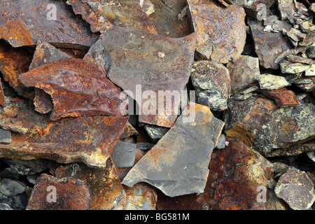 Primo piano di ardesia color rame a Kimmeridge Bay, Dorset, Inghilterra, Regno Unito Foto Stock