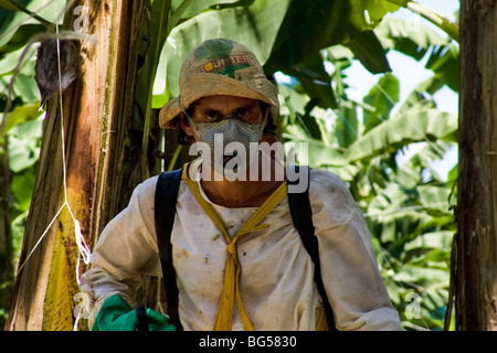 Una costa rican lavoratore durante l'applicazione di prodotti chimici usati per la manutenzione sulla piantagione di banane in Costa Rica. Foto Stock