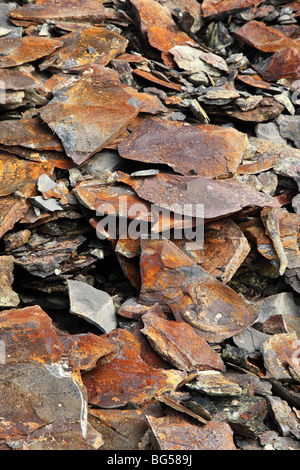 Primo piano di ardesia color rame a Kimmeridge Bay, Isola di Purbeck, Dorset, Inghilterra, Regno Unito Foto Stock