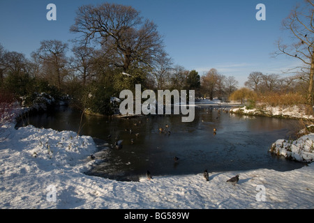 Stagno nel parco di Greenwich dopo la caduta di neve Foto Stock