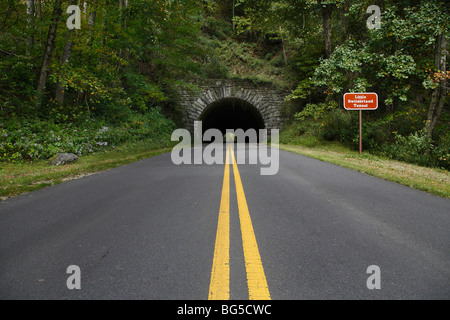 North Carolina NC Craggy Gardens, giardino Blue Ridge Parkway Appalachi immagini foto in vendita su alamy negli USA US ad alta risoluzione Foto Stock