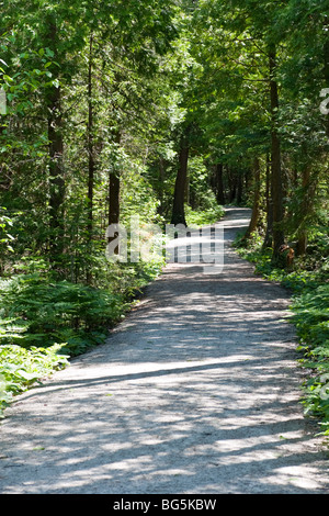 Una sezione di ghiaiose sentiero attraverso la foresta, nella penisola di Bruce, appena fuori di Tobermory, Ontario. Foto Stock