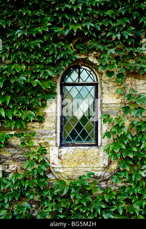 La finestra della Chiesa particolare di edera. Foto Stock