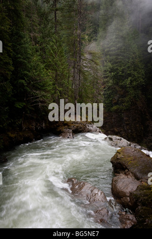 Nooksack Falls è alimentato dalle acque di origine glaciale di Mt. Shuksan e fluisce giù il fiume Nooksack verso il Puget Sound area. Foto Stock