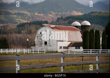 Nelle zone rurali la Whatcom County, Washington, un idilliaco paese di scena è sagomato da un fienile e silos accanto a un bel pascolo. Foto Stock