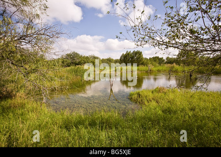 Estero Llano Grande State Park è un rifugio che offre il più grande ambiente di zone umide nel mondo Birding Center network, Texas Foto Stock