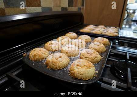 Pane appena sfornato fatto in casa torte di carne macinata su vassoi da forno fresco di forno in una cucina domestica Foto Stock