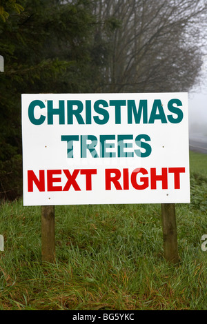 Alberi di Natale la prossima a destra cartello stradale da strada in County Fermanagh Irlanda del Nord Regno Unito Foto Stock
