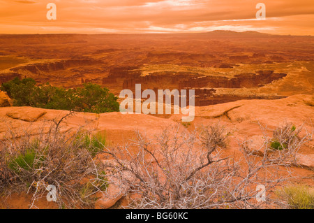 Il cerchio bianco dal Grand View Point, Island in the Sky, il Parco Nazionale di Canyonlands, Utah Foto Stock