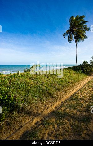 Una spiaggia di Praia do Forte, nello Stato di Bahia, BA, Brasile Foto Stock