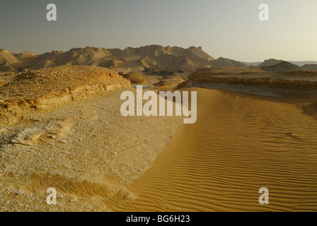 Dune di sabbia e ciottoli nel deserto occidentale di Egitto Foto Stock