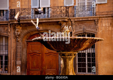 Piccioni giocando nella fontana di Place d'Albertas in Aix-en-Provence Francia Foto Stock