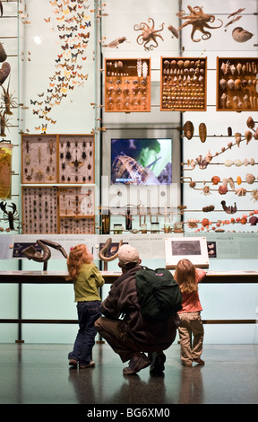 L'uomo e le sue due figlie presso la Sala della biodiversità al Museo Americano di Storia Naturale di New York CIty Foto Stock