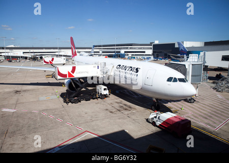 Qantas (Rongotai) Wellington, Nuova Zelanda Foto Stock