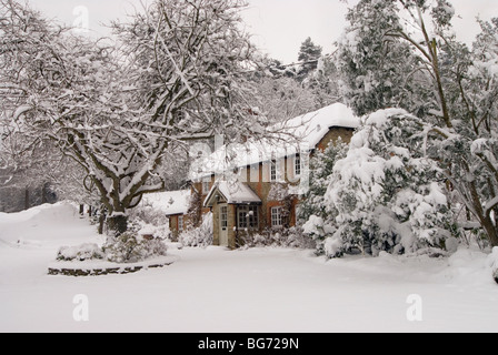 Scheda di Natale Immagine di un paesaggio innevato in scena con un accogliente cottage circondati da alberi e cespugli in condizioni di luce diurna Foto Stock