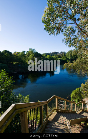 Fiume Waikato e ripide in legno Foto Stock