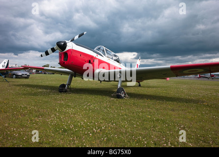 De Havilland Canada DHC-1 Scoiattolo striado aeromobile di addestramento a Kemble air show 2009 Foto Stock