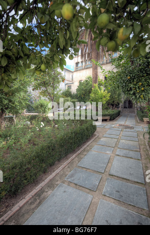 Cortile esterno, Hospes Palace del Bailío, Cordoba, Andalusia, Spagna Foto Stock