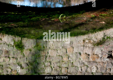 La riflessione del ponte nel fiume nel villaggio di Brissac, Herault, nel sud della Francia Foto Stock