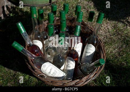 Bottiglie di tradizionalmente le bevande alcoliche distillate in un cestello, Mercato di Montoulieu, Herault, Francia Foto Stock