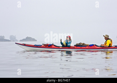 Donna kayaker è stupito dopo aver scattato le foto di 30 ton Humpback Whale che comparve a pochi metri (metri) dal suo kayak Foto Stock