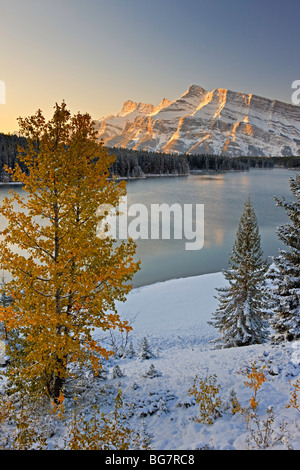 Due jack e lago Mt Rundle nel Parco Nazionale di Banff, Alberta, Canada. Il Parco Nazionale di Banff costituisce parte della Canadian Rocky Mounta Foto Stock