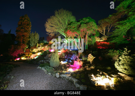 Illuminata di sera vista di alberi ed arbusti a Ness Botanic Gardens IllumiNess evento. Foto Stock