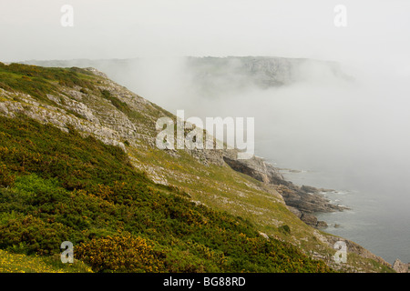 Vista dalla scogliera Pennard verso Pwlldu Testa, Penisola di Gower, South Wales, Regno Unito con una pesante nebbia del mare Foto Stock