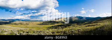 Mount Washburn e antilopi Creek Valley, nel Parco Nazionale di Yellowstone, Wyoming negli Stati Uniti. Foto Stock