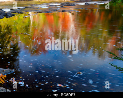 La riflessione di la natura in autunno in un fiume. Muskoka, Ontario, Canada. Foto Stock