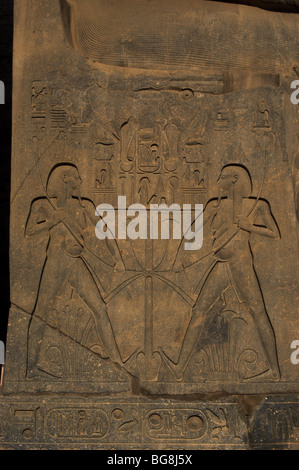 Rilievo raffigurante l'unione tra Alto Egitto (reed) e del Basso Egitto (Papiro). Dettaglio. Luxor. Foto Stock