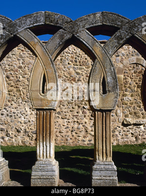 San Juan de Duero. Archi intrecciati del chiostro. XIII secolo. Foto Stock