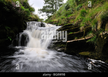 Fiume Dane a tre teste Shires, REGNO UNITO Foto Stock