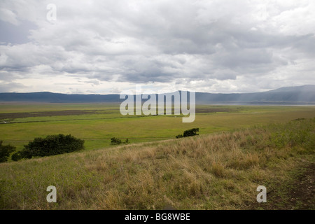 Il cratere di Ngorongoro presi dall'interno della caldera e mostrando la vastità del cratere del piano Foto Stock