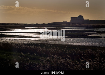 Minsmere il santuario degli uccelli con sizewell centrale nucleare in background Foto Stock