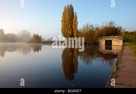 Il Footbridge e pioppi sul Fiume Tamigi percorso in corrispondenza di Shiplake England Regno Unito Foto Stock